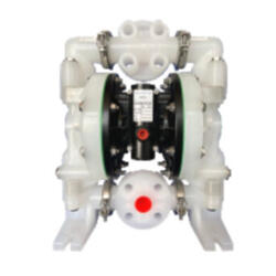 Пневматический мембранный насос GEMATECH GT2-AEN-25P